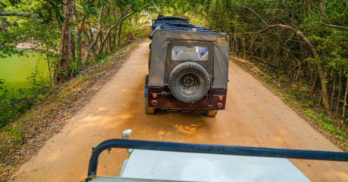 jeep safari